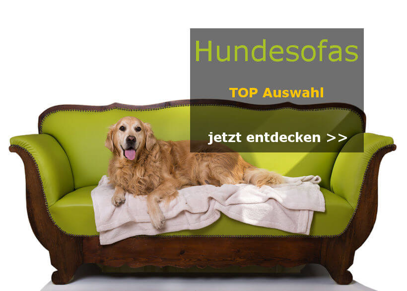 hundesofa kaufen