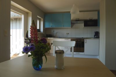 Wohnung Fritzi Küche